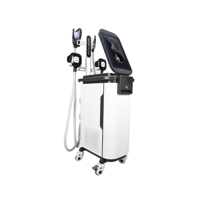 2 dans 1 corps de SME Cryo sculpter la machine  4 manipule la machine musculaire d'Estimulador