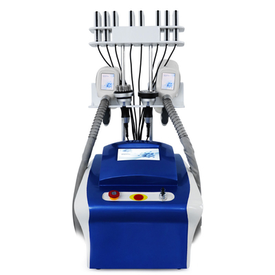 Cryolipolyse professionnelle élimination des graisses Réduction de la cryocellulite Machine de congélation des graisses Machine d'amincissement du corps