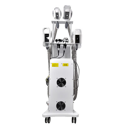 Gros gel Cryolipolysis de SME amincissant l'OEM de la machine 800W