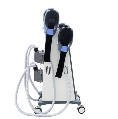 Néo- stimulateur de muscle de la poignée SME de rf deux, machine d'