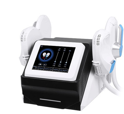 Le muscle de régime noir de la machine 3000W SME de beauté établissent le corps de  contournant de doubles poignées