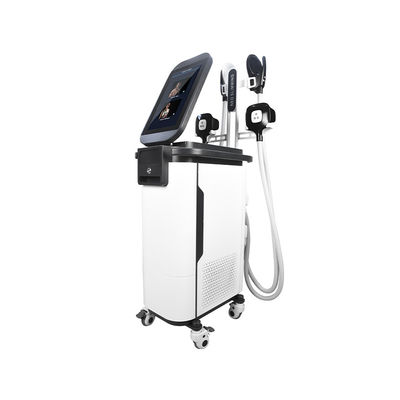 2 dans 1 corps de SME Cryo sculpter la machine  4 manipule la machine musculaire d'Estimulador