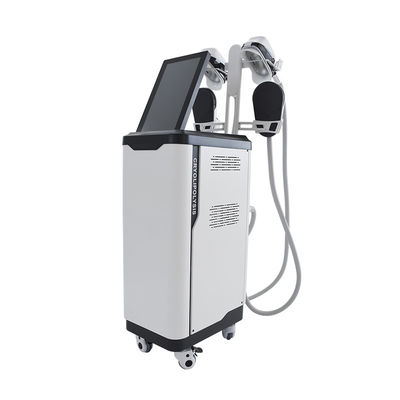 Utilisation de salon Cryolipolyse  NEO sculpting machine de perte de poids verticale