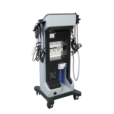 8 In1 Oxygen H2O2 Machine d' élimination des points noirs du visage pour les soins de la peau