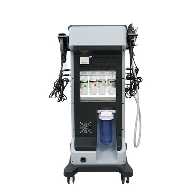 8 In1 Oxygen H2O2 Machine d' élimination des points noirs du visage pour les soins de la peau