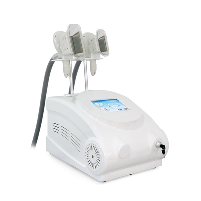 Machine de beauté de congélation portable Cryolipolyse du corps en perte de poids Machine de congélation de la forme du corps