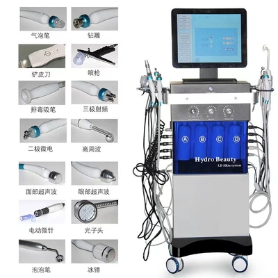 14 en 1 Hydrofacial Dermabrasion machine de rajeunissement de la peau à LED à grande bulle pulvérisation d' oxygène du visage