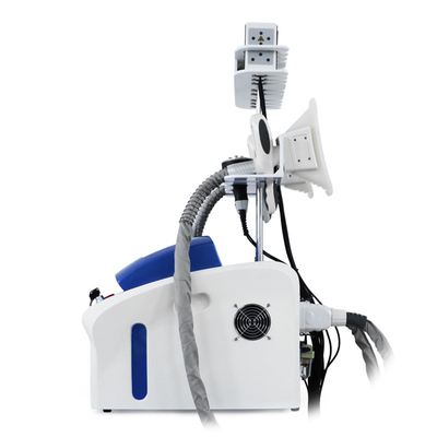 Cryolipolyse professionnelle élimination des graisses Réduction de la cryocellulite Machine de congélation des graisses Machine d'amincissement du corps