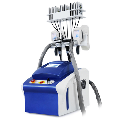 Cryolipolyse professionnelle élimination des graisses Réduction de la cryocellulite Machine de congélation des graisses Machine d'amincissement du corps
