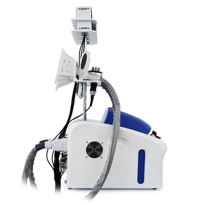 Cryolipolyse professionnelle élimination des graisses Réduction de la cryocellulite Machine de congélation des graisses Machine d'amincissement du corps