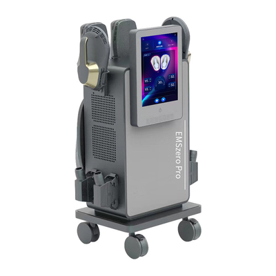 EMS Machine de modélisation du corps avec RF EMS 4 poignées avec coussin