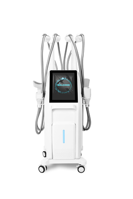 360° technologie de cryolipolyse machine de perte de graisse non invasive