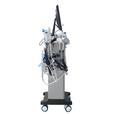 15 en 1 Hydra Dermabrasion Vacuum facial à l' eau Décapage de la tête noire Hydro Microdermabrasion Machine