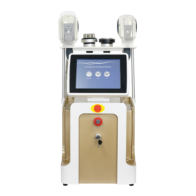 Machine de congélation des graisses par cryolipolyse pour la perte de poids