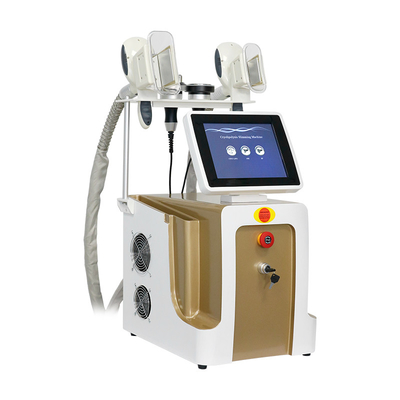 Machine de congélation des graisses par cryolipolyse pour la perte de poids