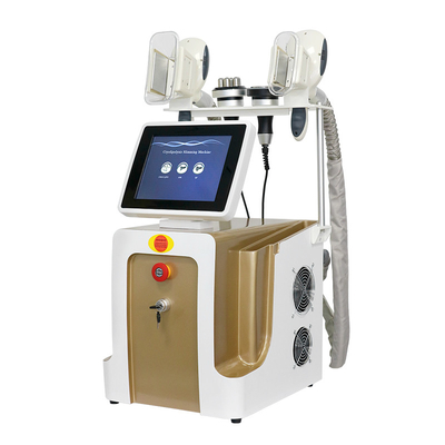 Machine de congélation des graisses par cryolipolyse pour la perte de poids