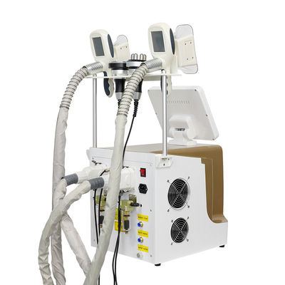Machine de congélation des graisses par cryolipolyse pour la perte de poids