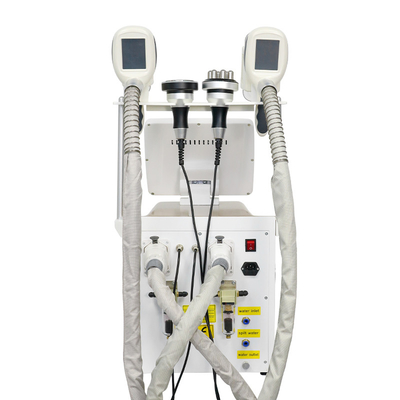 Machine de congélation des graisses par cryolipolyse pour la perte de poids