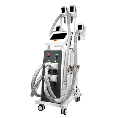 Machine à cryolipolyse 360 pour la congélation des graisses machine à perte de poids rapide