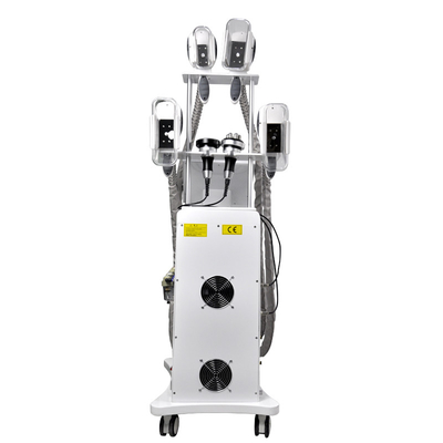 Machine à cryolipolyse 360 pour la congélation des graisses machine à perte de poids rapide