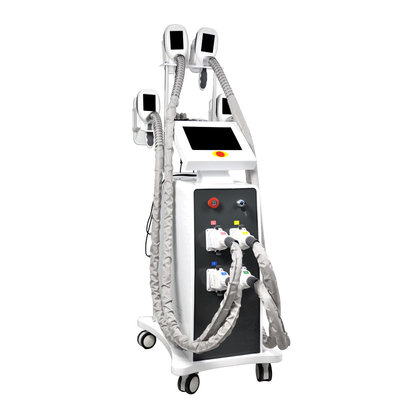 Machine à cryolipolyse 360 pour la congélation des graisses machine à perte de poids rapide