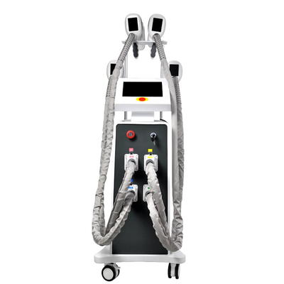 Machine à cryolipolyse 360 pour la congélation des graisses machine à perte de poids rapide