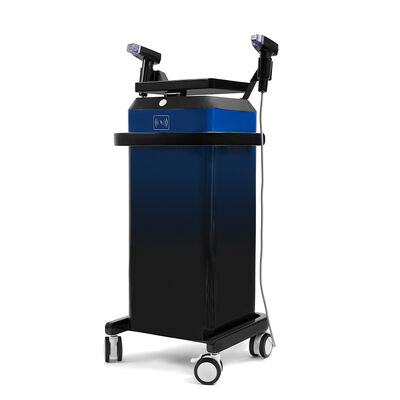Maison et salon de beauté Utilisez une machine de micro-aiguille verticale 2 poignées professionnel de l'aiguille de la peau appareil de beauté pour le visage et le corps Utilisez un lifting Tighting machine de beauté