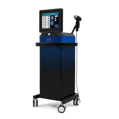 Maison et salon de beauté Utilisez une machine de micro-aiguille verticale 2 poignées professionnel de l'aiguille de la peau appareil de beauté pour le visage et le corps Utilisez un lifting Tighting machine de beauté
