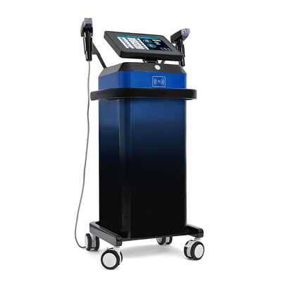 Maison et salon de beauté Utilisez une machine de micro-aiguille verticale 2 poignées professionnel de l'aiguille de la peau appareil de beauté pour le visage et le corps Utilisez un lifting Tighting machine de beauté
