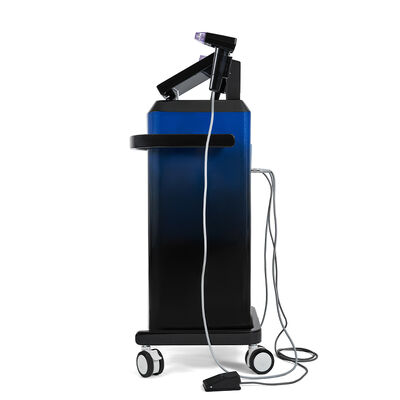 Maison et salon de beauté Utilisez une machine de micro-aiguille verticale 2 poignées professionnel de l'aiguille de la peau appareil de beauté pour le visage et le corps Utilisez un lifting Tighting machine de beauté