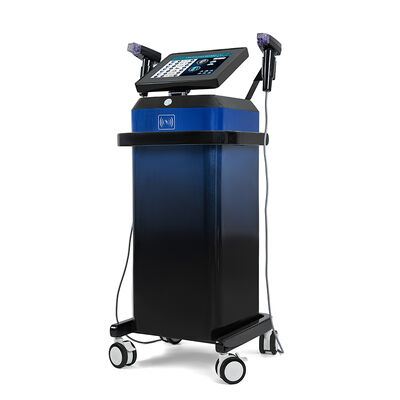Maison et salon de beauté Utilisez une machine de micro-aiguille verticale 2 poignées professionnel de l'aiguille de la peau appareil de beauté pour le visage et le corps Utilisez un lifting Tighting machine de beauté