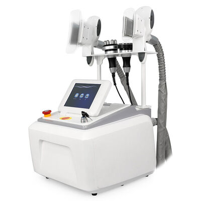 4 en 1 non invasif indolore portable 4 poignées maison et usage commercial machine de beauté de congélation cryo machine de beauté minceur