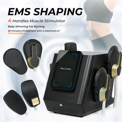 Machine de sculpture corporelle EMS Portable, avec puissance de sortie de 2800W, écran de 12 pouces et technologie EMSlim pour la Stimulation musculaire
