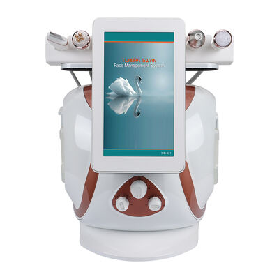 Machine hydrafaciale multifonctionnelle à petites bulles d'hydrogène et d'oxygène 8 en 1, équipement de Salon de soins de la peau du visage