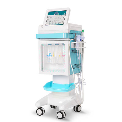 Hydro Oxygen Facial Machine   Facile d'utilisation pour les salons et les centres de SPA Nettoyage en profondeur + rajeunissement à l'oxygène 2 en 1 machine de nettoyage du visage