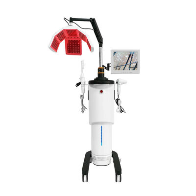 Machine Laser professionnelle à Diode LED pour la croissance des cheveux, détection du cuir chevelu, Anti-perte de cheveux, équipement de thérapie pour Salon de coiffure